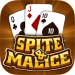Spite and Malice – Skip Bo Free Wild Card Game v5.9 [MOD]