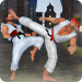 Real Karate Fighting 2019: Kung Fu Master Training v1.2.4 [MOD]