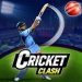 Cricket Clash v3.0.1 [MOD]