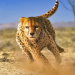 Savanna Simulator: Wild Animal Games v0.1 [MOD]