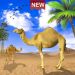 Dubai Camel Simulator 2020 – Arab Desert Transport v0.3 [MOD]