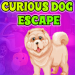 Kavi Escape Game 599 Curious Dog Escape Game v1.0.0 [MOD]