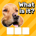 Zoom Quiz: Close Up Pics Game, Guess the Word v3.5.1 [MOD]