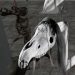 Angry Long Horse Defeat Light Head v1.0 [MOD]