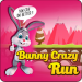 Bunny Crazy Run v1.0 [MOD]