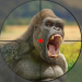 Wild Hunt Animal Hunting Games v1.1 [MOD]