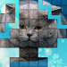 PicPu – Cat Picture Puzzle v6.00 [MOD]